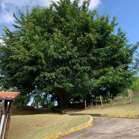 Chales Tia Nastacia Monteiro Lobato Exterior photo