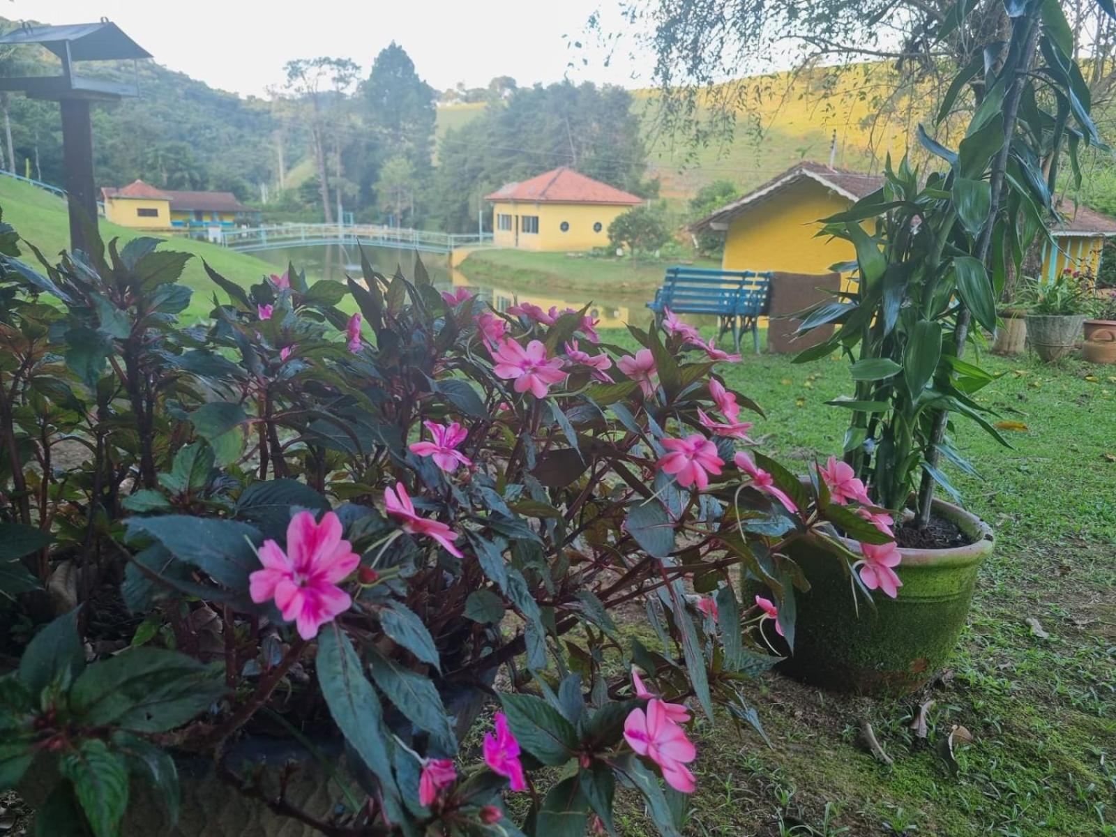 Tia Nastácia Casa de Campo *
